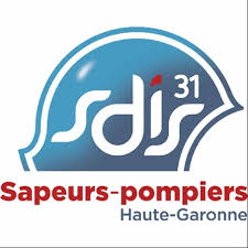 SDIS 31